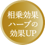 相乗効果ハーブの効果UP