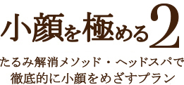 小顔を極める2 たるみ解消メソッド・ヘッドスパで徹底的に小顔をめざすプラン